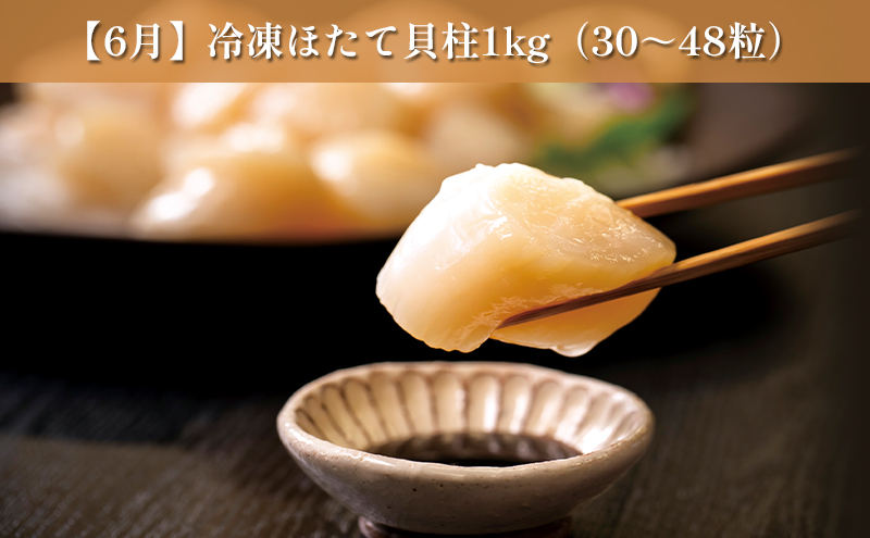 オホーツク枝幸の恵 海の幸 年6回 定期便 [2026年4月発送開始] 丸高 高田商店【 魚貝類 いくら 魚卵 帆立 ホタテ サーモン 鮭 北海道 オホーツク 枝幸 】