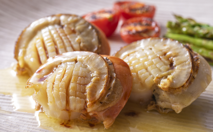 冷凍ハーフボイルほたて500g（15～17粒）オホーツク産［北隆丸］【 ほたて 帆立 ホタテ 魚貝類 魚介類 海鮮 大粒 ボイル 生 冷凍 加工食品 北海道 オホーツク 枝幸 】