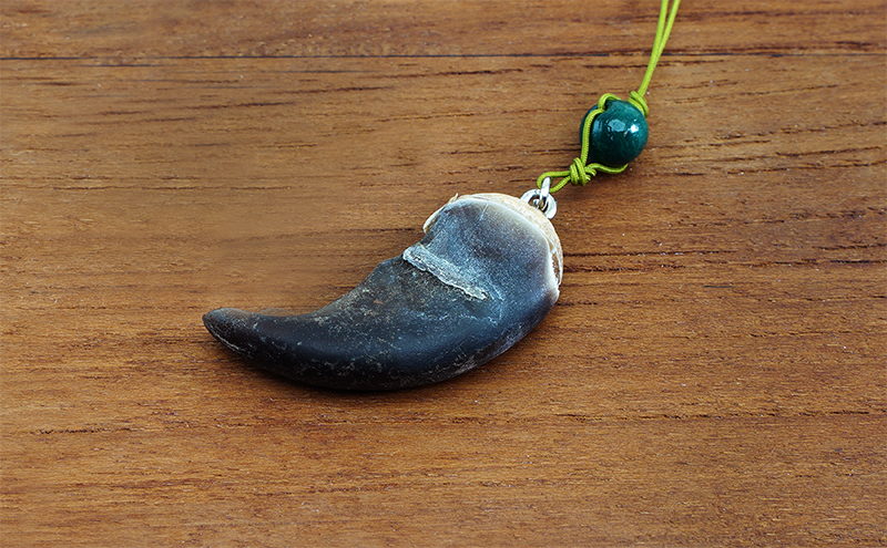 北海道枝幸産 ヒグマの爪ストラップ 4cm前後 くま 熊 ヒグマ 羆 アクセ スマホ