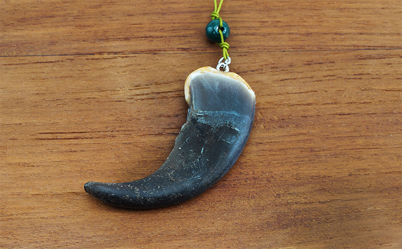 北海道枝幸産 ヒグマの爪ストラップ 6.5cm前後 くま 熊 ヒグマ 羆 アクセ スマホ