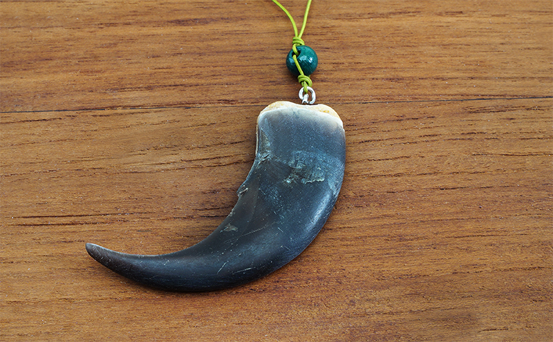 北海道枝幸産 ヒグマの爪ストラップ 7cm前後 くま 熊 ヒグマ 羆 アクセ スマホ