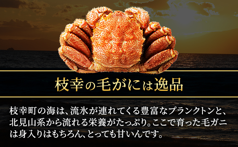 冷凍ボイル毛ガニ 800g前後×2尾［オホーツク枝幸産］山上佐藤水産 カニ かに 毛ガニ 北海道 海鮮