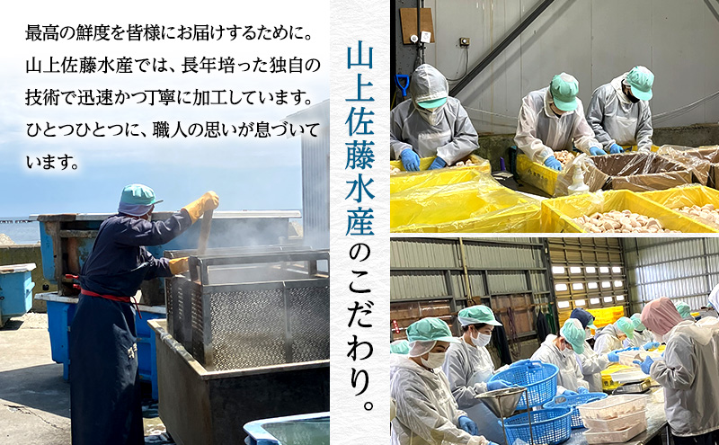 オホーツク枝幸産 秋鮭 筋子300g［塩漬け］山上佐藤水産 【 魚貝類 いくら 魚卵 北海道 オホーツク 枝幸 】