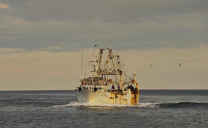 北海道 枝幸町 岩谷さん家の船の 肉厚 ホッケ フライ 800g（400g×2P）