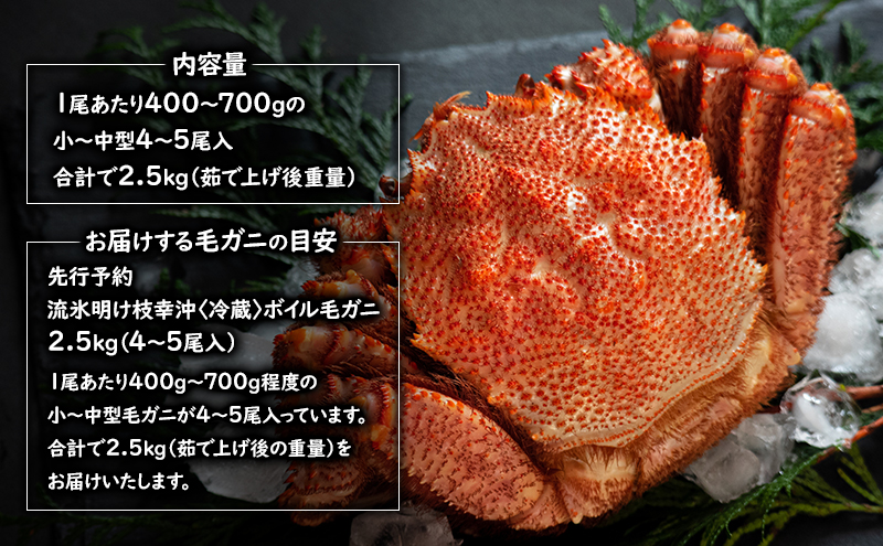 〈冷蔵発送〉流氷明け 枝幸沖 ボイル毛ガニ 2.5kg (4～5尾入) 先行予約【2026年3月頃発送予定】旬の味覚［丸中三興水産］オホーツク枝幸 前浜【 蟹 魚介 北海道 枝幸 】