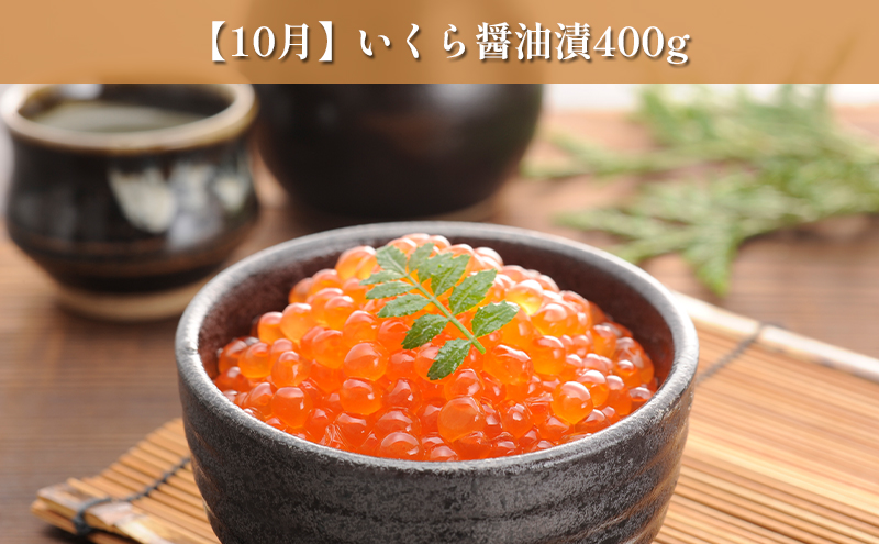 オホーツク枝幸の恵 海の幸 年3回 定期便 [2026年4月発送開始] 丸高 高田商店【 魚貝類 いくら 魚卵 帆立 ホタテ サーモン 鮭 北海道 オホーツク 枝幸 】