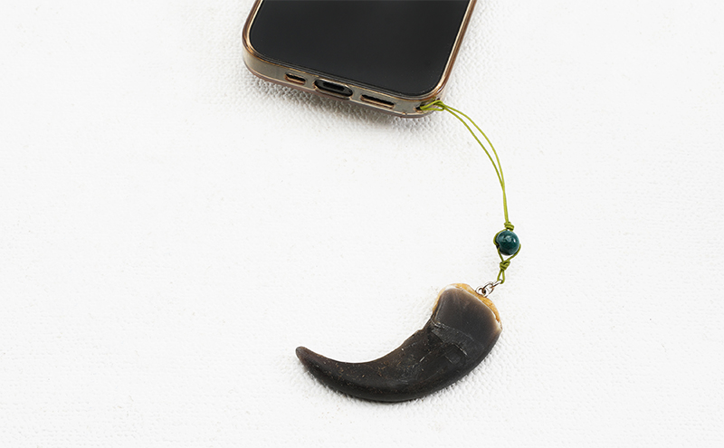 北海道枝幸産 ヒグマの爪ストラップ 6.5cm前後 くま 熊 ヒグマ 羆 アクセ スマホ