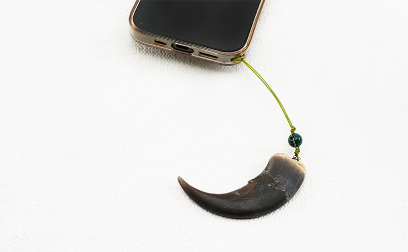 北海道枝幸産 ヒグマの爪ストラップ 7cm前後 くま 熊 ヒグマ 羆 アクセ スマホ