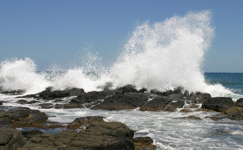 北海道枝幸町 寄附のみの応援受付 10,000円コース（返礼品なし 寄附のみ 10000円）