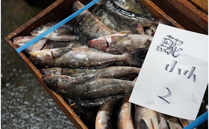 北海道 枝幸町 岩谷さん家の船の 肉厚 ホッケ フライ2kg (1kg×2P）