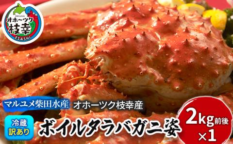 ［冷蔵でお届け］訳あり タラバガニ 姿 2kg前後【オホーツク枝幸産】 チルド