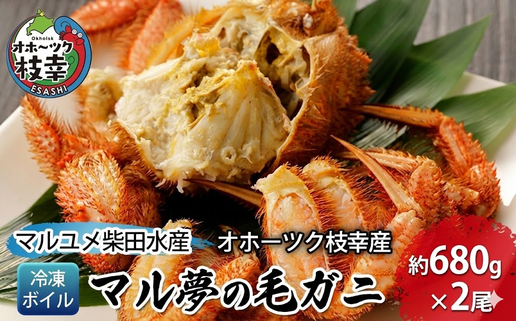 オホーツク枝幸産 マル夢の毛ガニ約680g×2尾【冷凍ボイル】柴田水産【 枝幸産 毛ガニ 蟹 かに カニ 北海道 オホーツク 枝幸 】