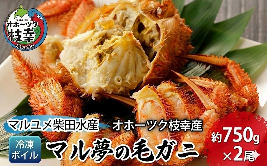 オホーツク枝幸産 マル夢の毛ガニ約750g×2尾【冷凍ボイル】柴田水産【 枝幸産 毛ガニ 蟹 かに カニ 北海道 オホーツク 枝幸 】