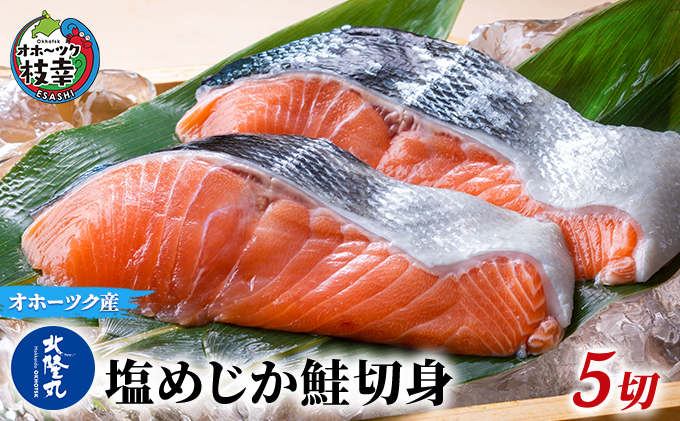北隆丸 塩めじか鮭切身5切 オホーツク枝幸産【 鮭 サケ サーモン 切り身 干物 魚貝類 魚介類 漬け 漬魚 塩漬け 加工食品 北海道 オホーツク 枝幸 】