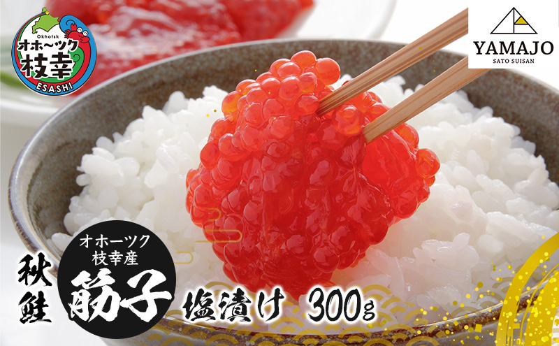 オホーツク枝幸産 秋鮭 筋子300g［塩漬け］山上佐藤水産 【 魚貝類 いくら 魚卵 北海道 オホーツク 枝幸 】