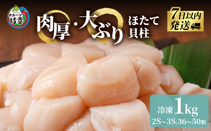 枝幸の四季　肉厚大玉ほたて冷凍貝柱1kg（2S～3Sサイズ：36～50粒）【枝幸ほたて】枝幸海産 北海道 冷凍 貝柱 刺身 大 魚介 海 オホーツク 帆立 年越し 贈答 贈り物 ギフト
