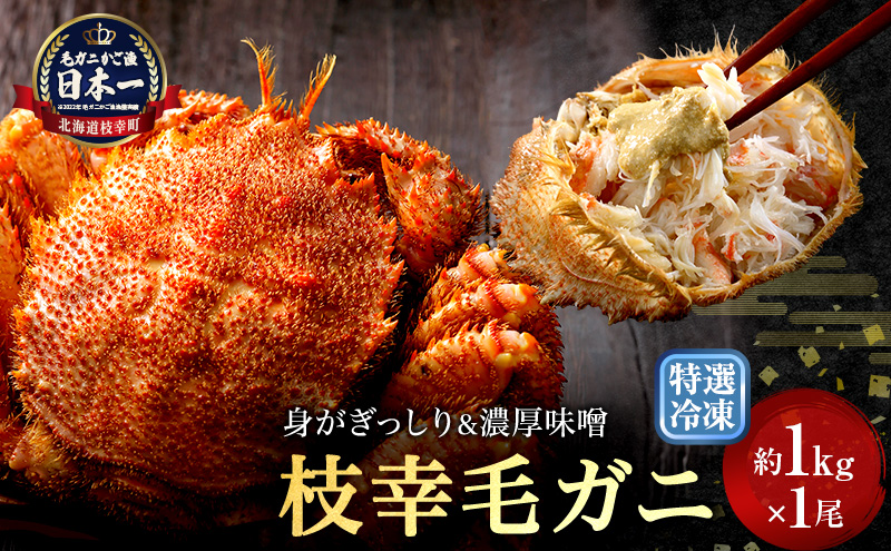 【漁獲量日本一】至福の逸品！特選冷凍「枝幸毛がに」約1kg×1尾 毛蟹 毛ガニ オホーツク 北海道
