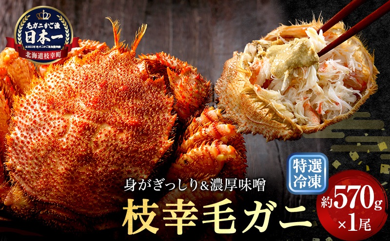 【漁獲量日本一】至福の逸品！特選冷凍「枝幸毛がに」約570g×1尾 毛蟹 毛ガニ オホーツク 北海道