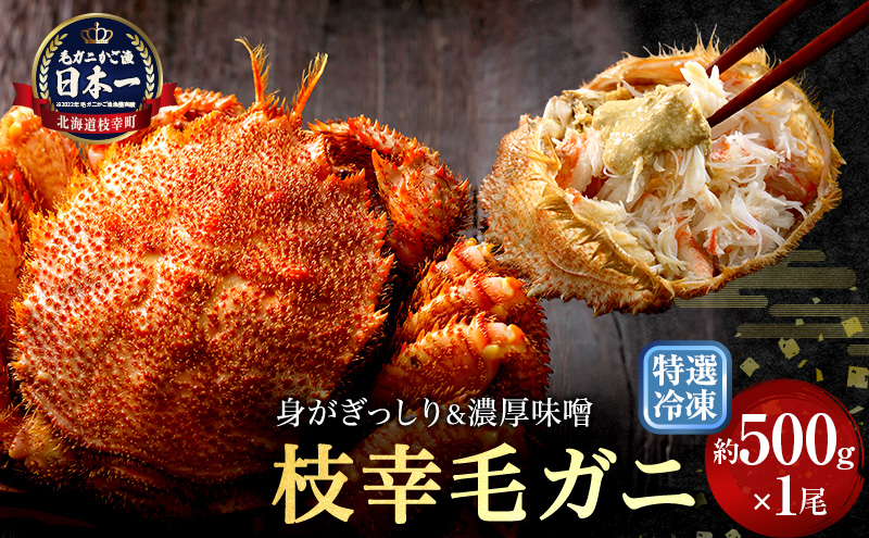 【漁獲量日本一】至福の逸品！特選冷凍「枝幸毛がに」約500g×1尾 毛蟹 毛ガニ オホーツク 北海道