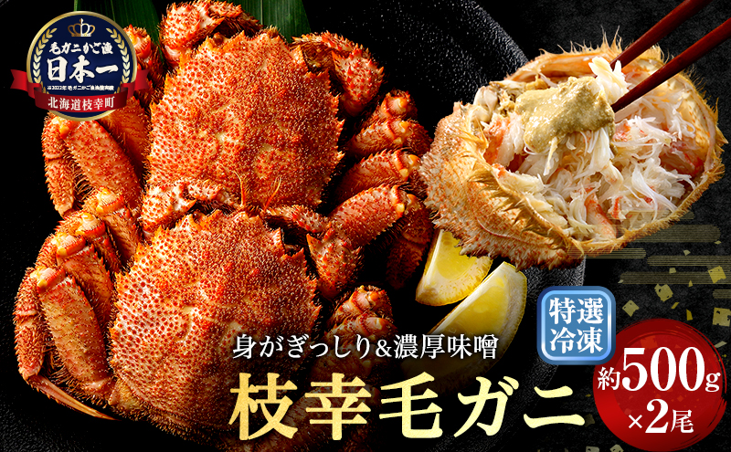 【漁獲量日本一】至福の逸品！特選冷凍「枝幸毛がに」約500g×2尾 毛蟹 毛ガニ オホーツク 北海道