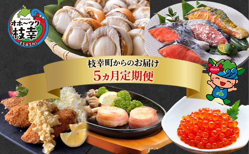 ～北海道枝幸町からのお届け おかずにどうぞ！ 定期便５～【 ホタテ ステーキ いくら 醤油 めじか鮭 切身 ホッケ フライ 】