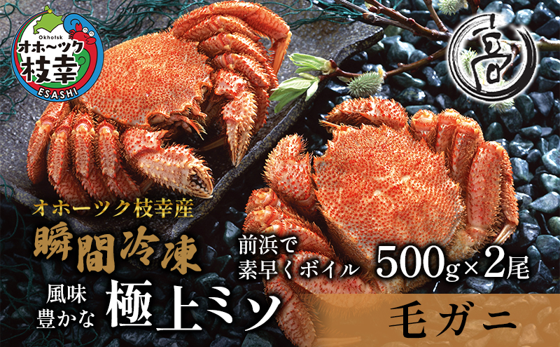 オホーツク枝幸産 毛ガニ500g×2尾（-196℃液体窒素瞬間凍結品）高田商店 【 毛カニ 蟹 かに カニ 北海道 】