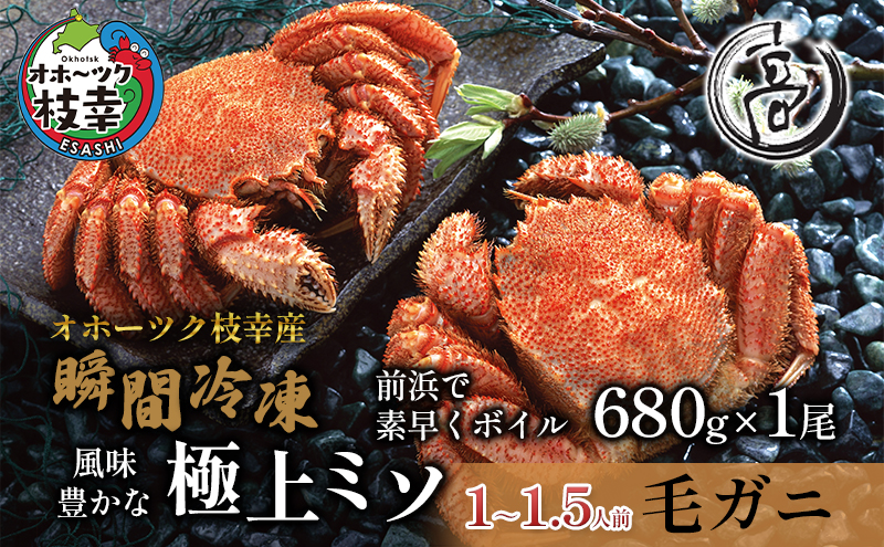 特大冷凍ボイル毛がに680g×1尾 オホーツク枝幸産（-196℃液体窒素瞬間凍結品）高田商店 【 毛カニ 蟹 かに カニ 北海道 】