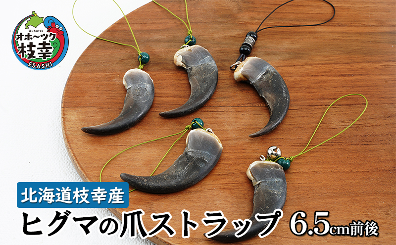 北海道枝幸産 ヒグマの爪ストラップ 6.5cm前後 くま 熊 ヒグマ 羆 アクセ スマホ
