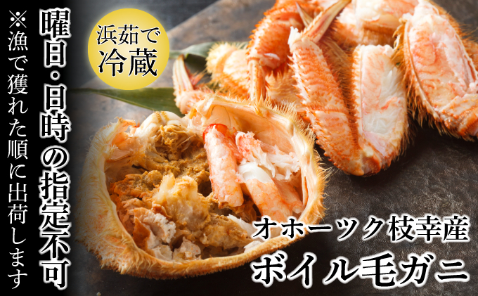 オホーツク枝幸産 マル夢の毛ガニ 約600g～700g 2尾【日時・曜日指定不可】