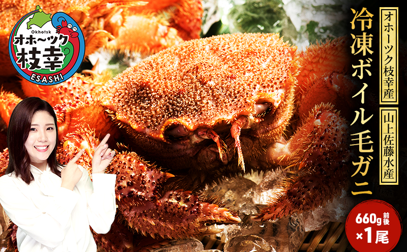 冷凍ボイル毛ガニ 660g前後×1尾［オホーツク枝幸産］山上佐藤水産 カニ かに 毛ガニ 北海道 海鮮