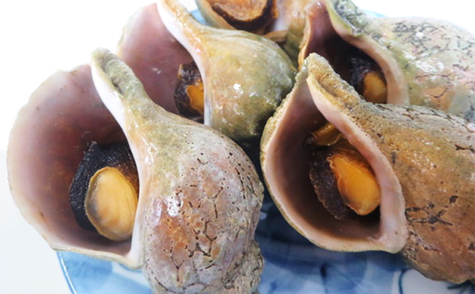 マル夢のボイル青つぶ 2kg Sサイズ オホーツク枝幸産