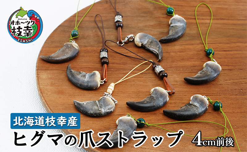 野生のヒグマの爪（大）9個 野生のヒグマの爪（大）9個