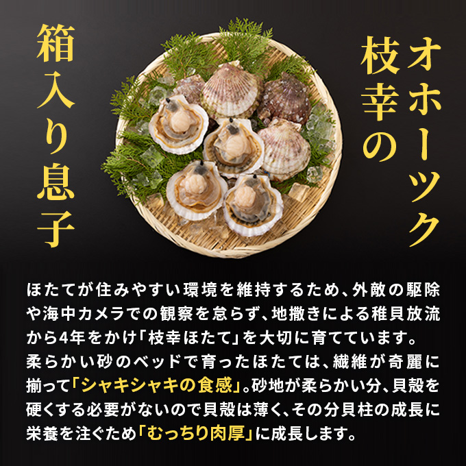 全6回 定期便 プロも認めるオホーツクブランド「枝幸ほたて」冷凍貝柱1kg （4Sサイズ：51粒～60粒）枝幸漁協 【 刺身 魚介 帆立 超目玉 魚貝類 貝類 海の幸 枝幸産 つまみ 肴 お酒のお供 お酒のあて 北海道 オホーツク 枝幸 】