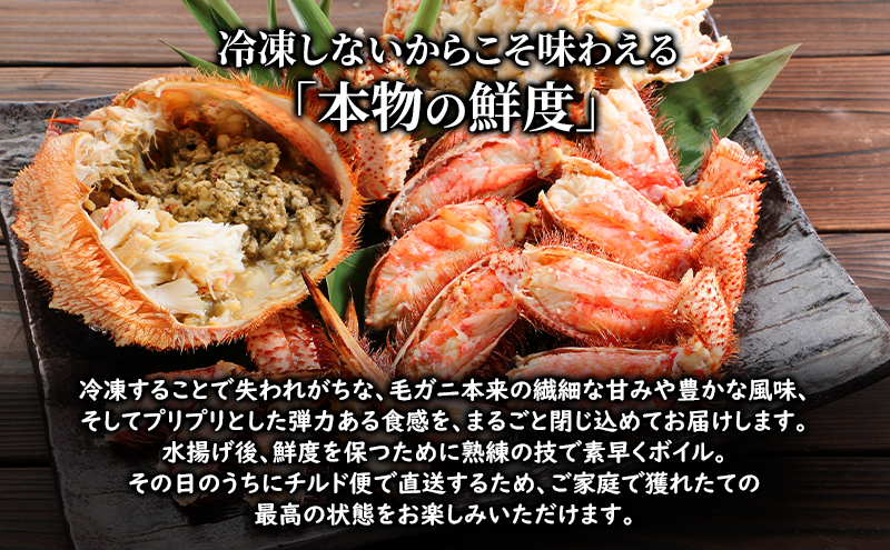 〈冷蔵発送〉流氷明け 枝幸沖 ボイル毛ガニ 500g前後×1尾 先行予約【2026年3月頃発送予定】旬の味覚［丸中三興水産］オホーツク枝幸 前浜【 蟹 魚介 北海道 枝幸 】