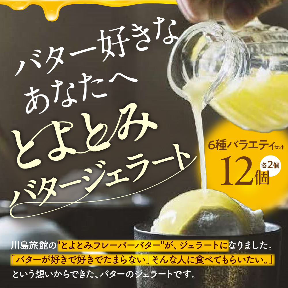 とよとみバタージェラート【バラエティ6種12個セット】 バラエティ6種12個セット