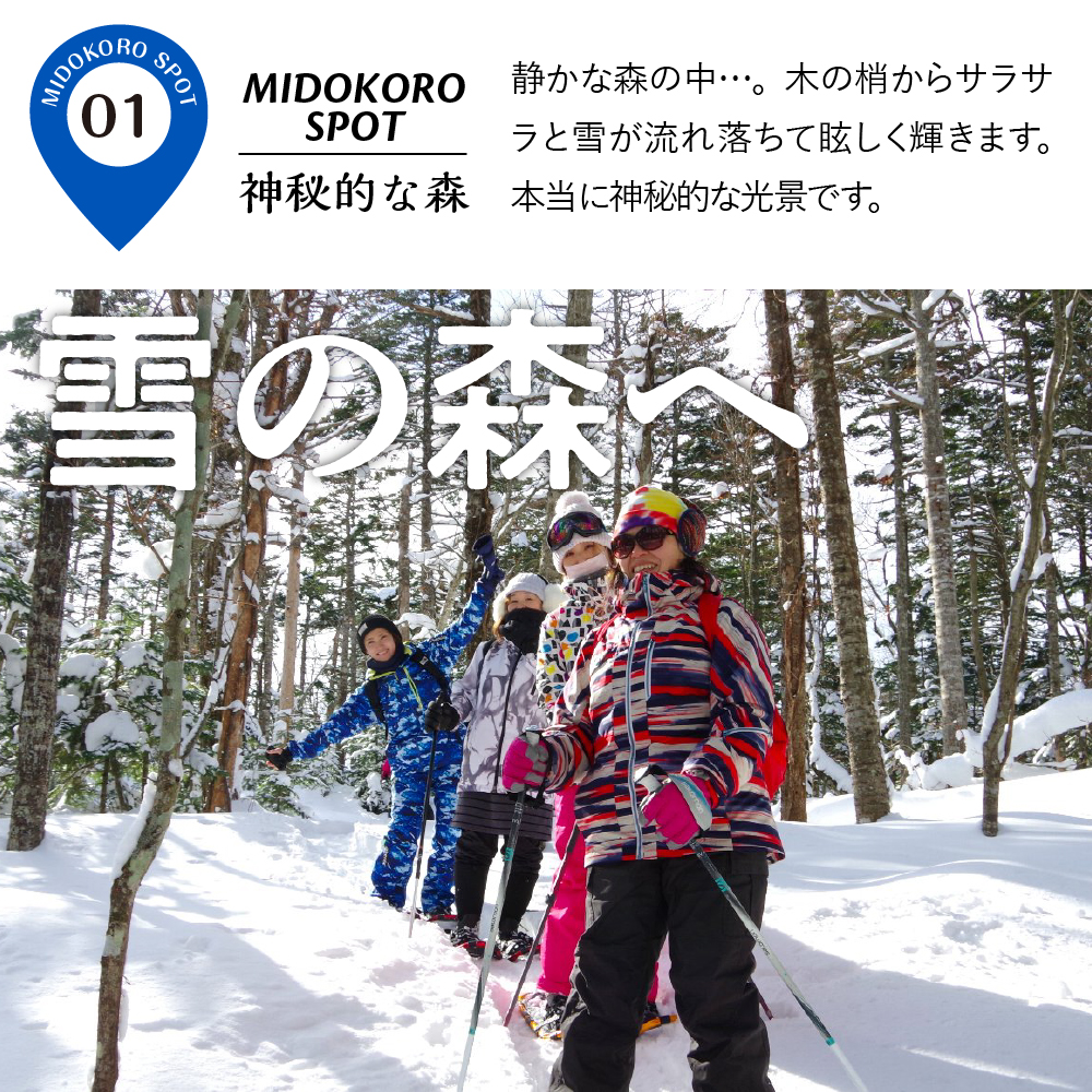 神秘の森と湖沼へ！特別なスノーシューツアー