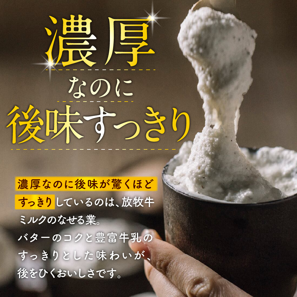 【定期便 3か月】とよとみバタージェラート 塩ミルク 12個セット 定期便 3か月