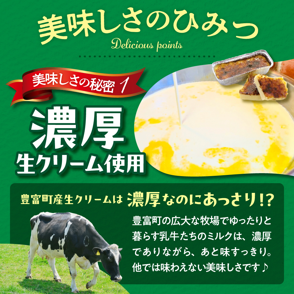 とよとみカタラーナ 10個