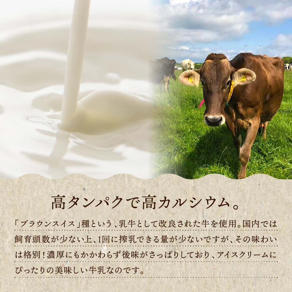 E.den(エデン) 豊富牛乳ジェラート ブラウンスイスミルク 100ml×6個 ブラウンスイスミルク 6個