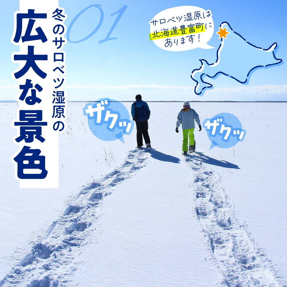 サロベツ湿原体験！スノーシューガイド 1名様 【1～3月】