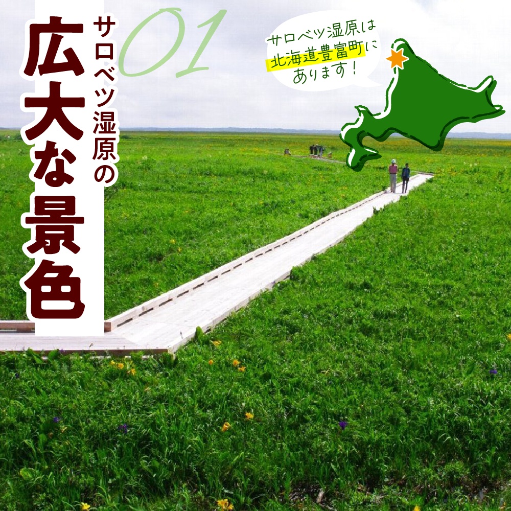 サロベツ湿原体験！木道自然ガイド 1名様【5～9月】