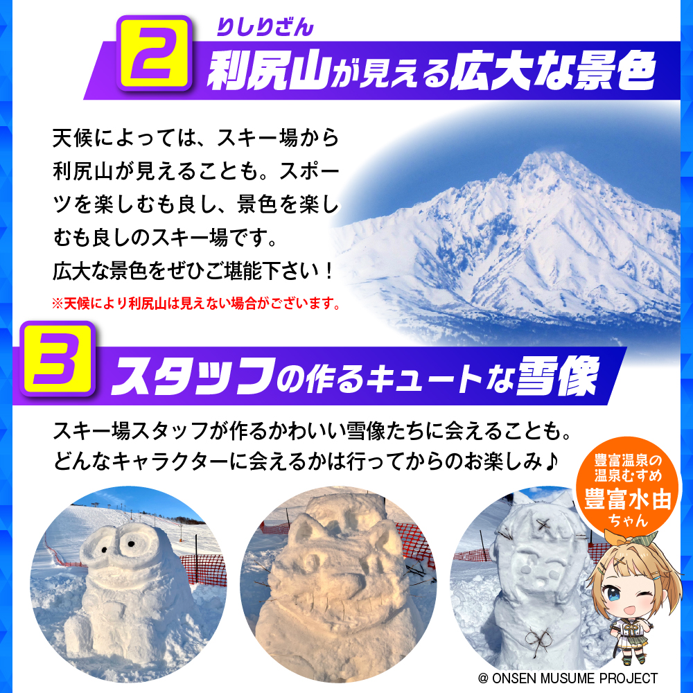 豊富温泉スキー場利用助成（12回券 大人） 12回券 大人