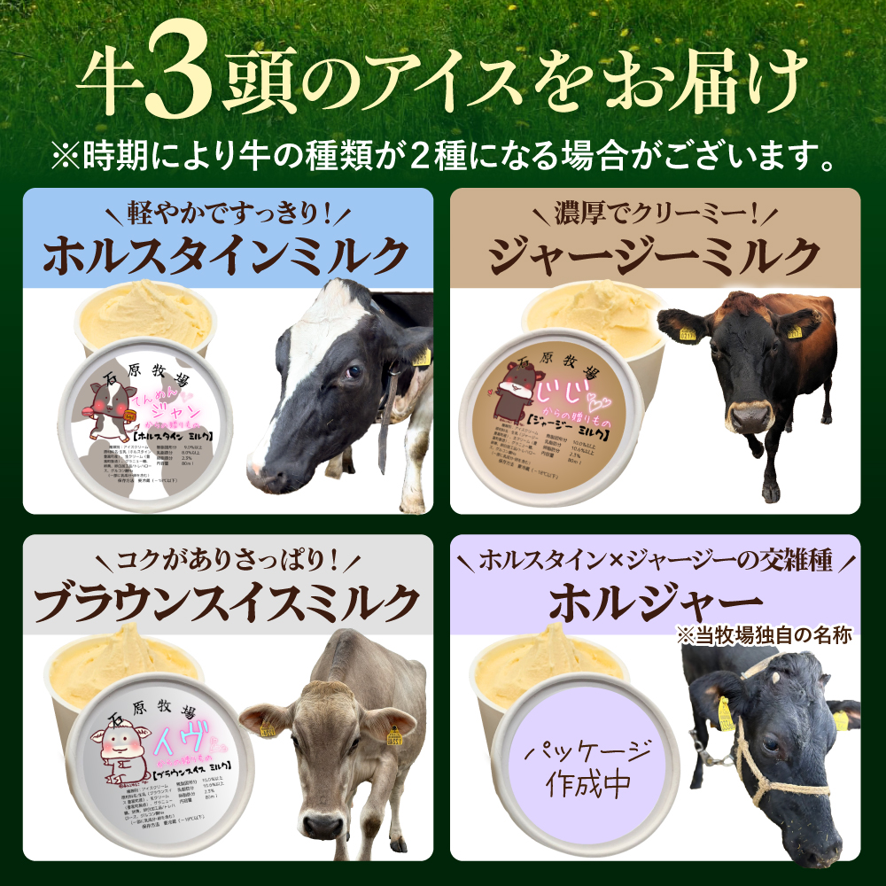 牛で選べるアイスクリーム 80ml×6個《牛3頭セット、品種2～3種》【石原牧場】 tt027-001 6個セット