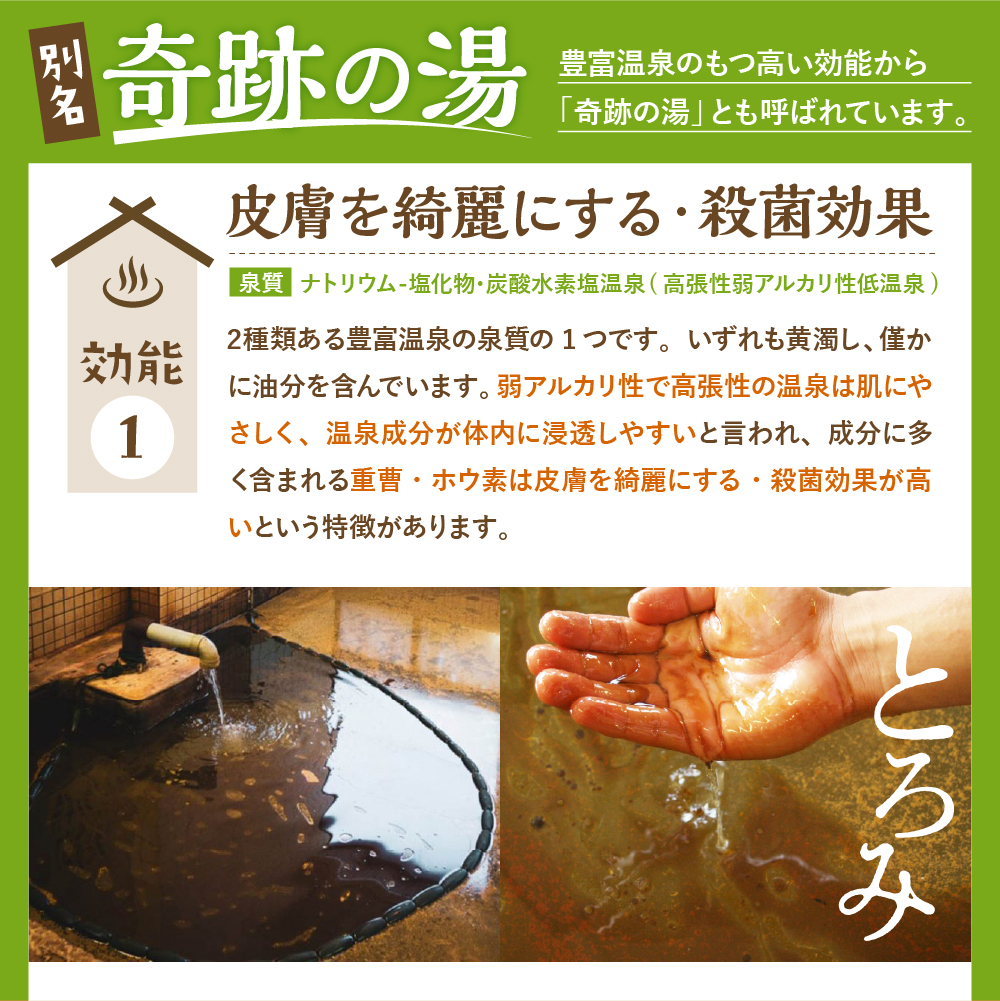 豊富温泉 ふれあいセンター 入浴券 こども用 16回分 入浴券 こども用 16回分