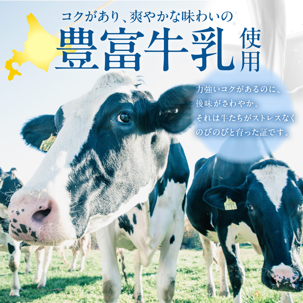 【定期便 3か月】とよとみバタージェラート 塩ミルク 12個セット 定期便 3か月