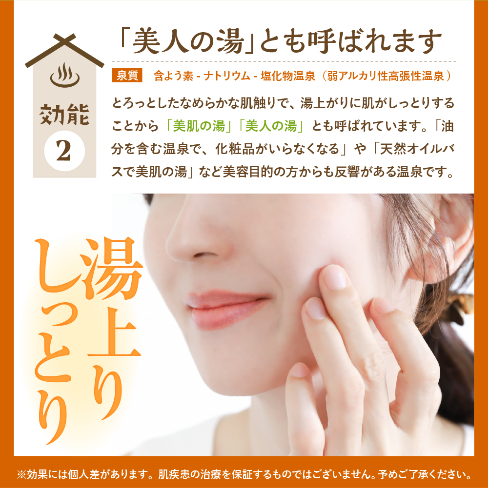 豊富温泉 ふれあいセンター 入浴券 こども用 16回分 入浴券 こども用 16回分