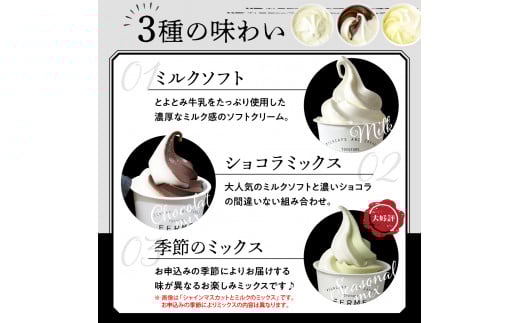 【2026年2月配送】とよとみ牛乳ソフトクリーム【120ml 3種類 計12個】