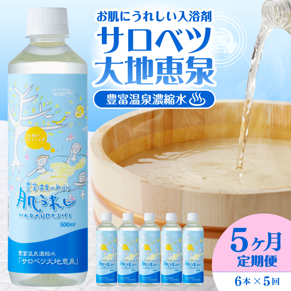 【定期便 5か月連続】 豊富温泉 濃縮温泉水 サロベツ大地恵泉 (1回500ml×6本) 【定期便5か月】500ml×6本