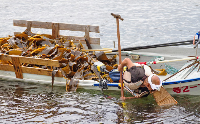 北海道礼文島産天然利尻だし昆布（バラ）2㎏