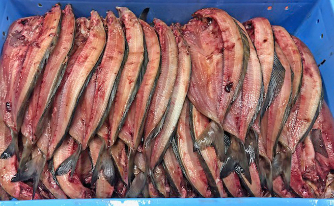 北海道礼文島産　開きほっけ（2枚入）×3【3ヶ月定期便】